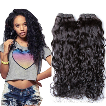 Brazilian Water Wave Virgin Hair Bundle Deals Wet and Wavy Virgin Brazilian Hair Extension 7A Unprocessed Natural Curly Weave